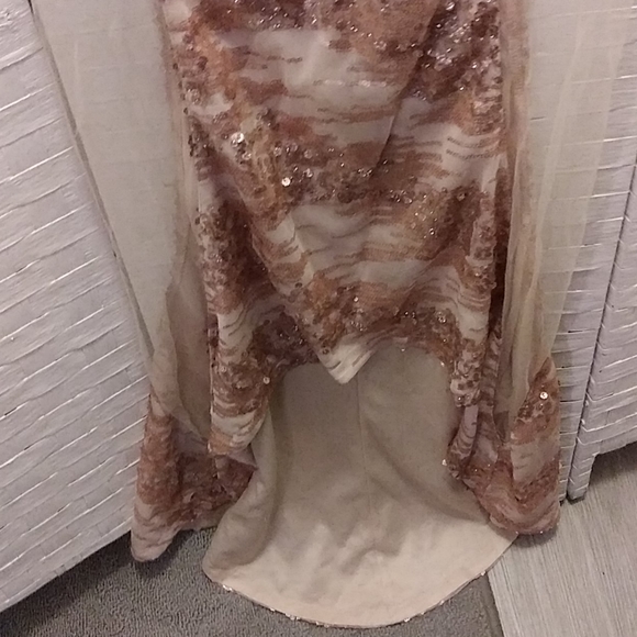 Gold & Sexy mermaid gown - Picture 5 of 12